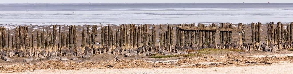 Uit Waddenzee