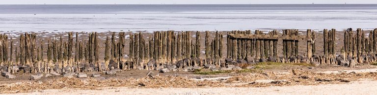 Wandeling in Getijden-natuur — Natuur in Waddenzee